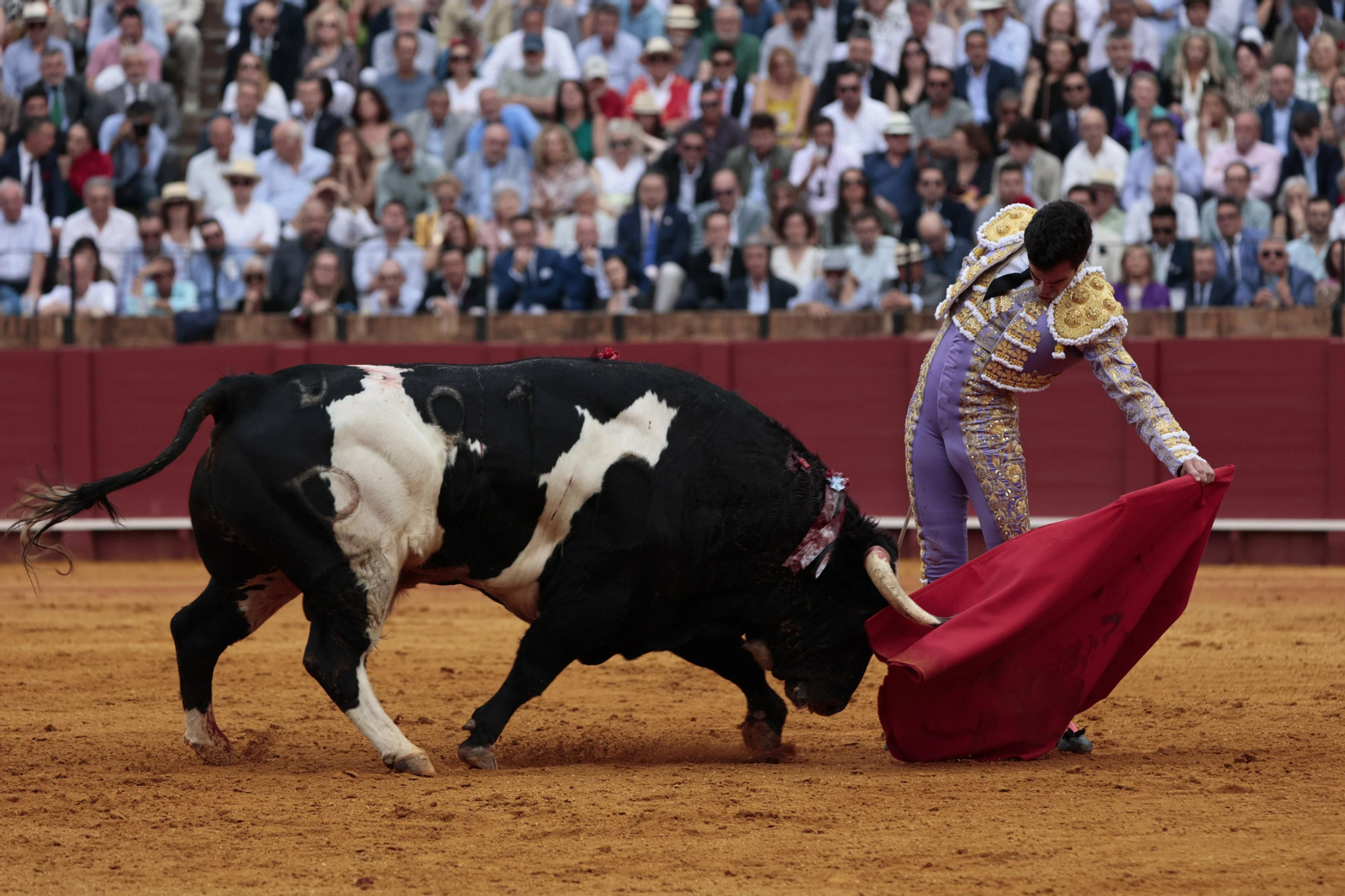 Las imágenes del festejo