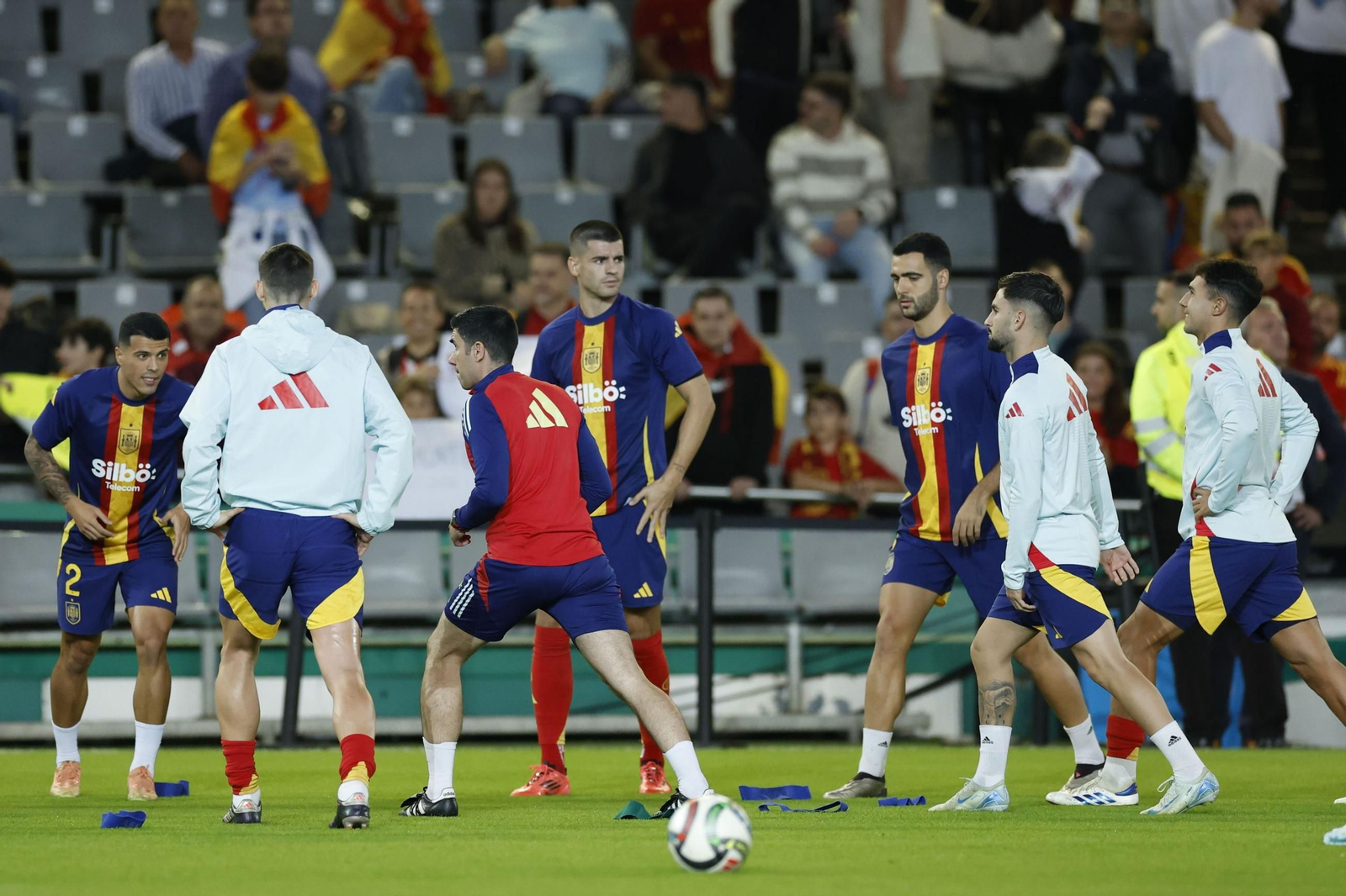 Las fotos del España - Serbia en Córdoba