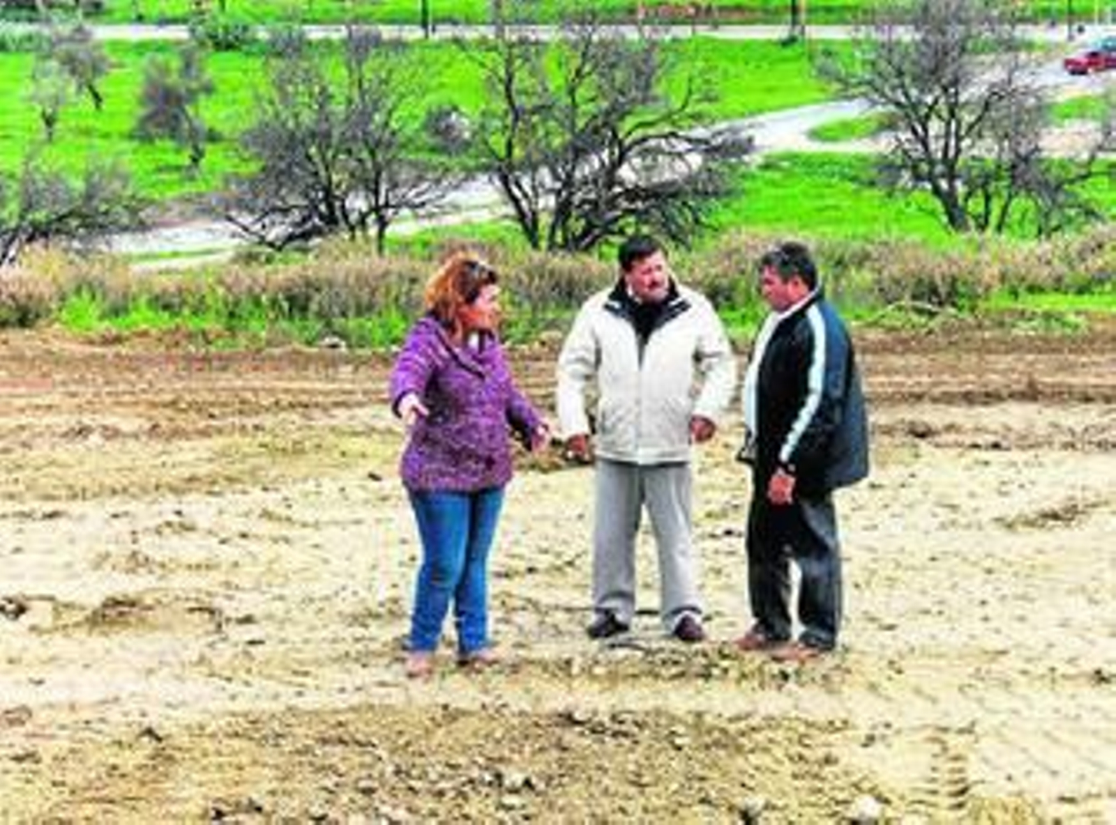 Una de las parcelas que serán utilizadas como huertos urbanos.