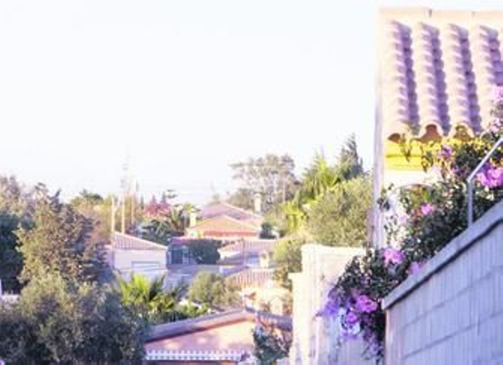 Imagen de algunas viviendas que se encuentran en las Áreas de Gestión Básica.