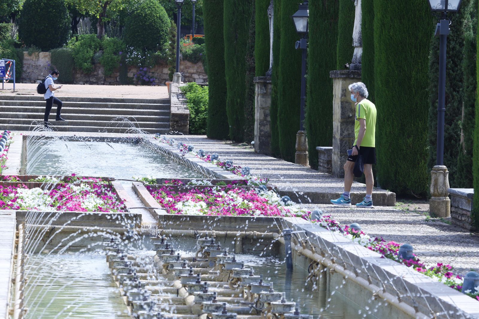 Las fotografías de la reapertura al público del Alcázar