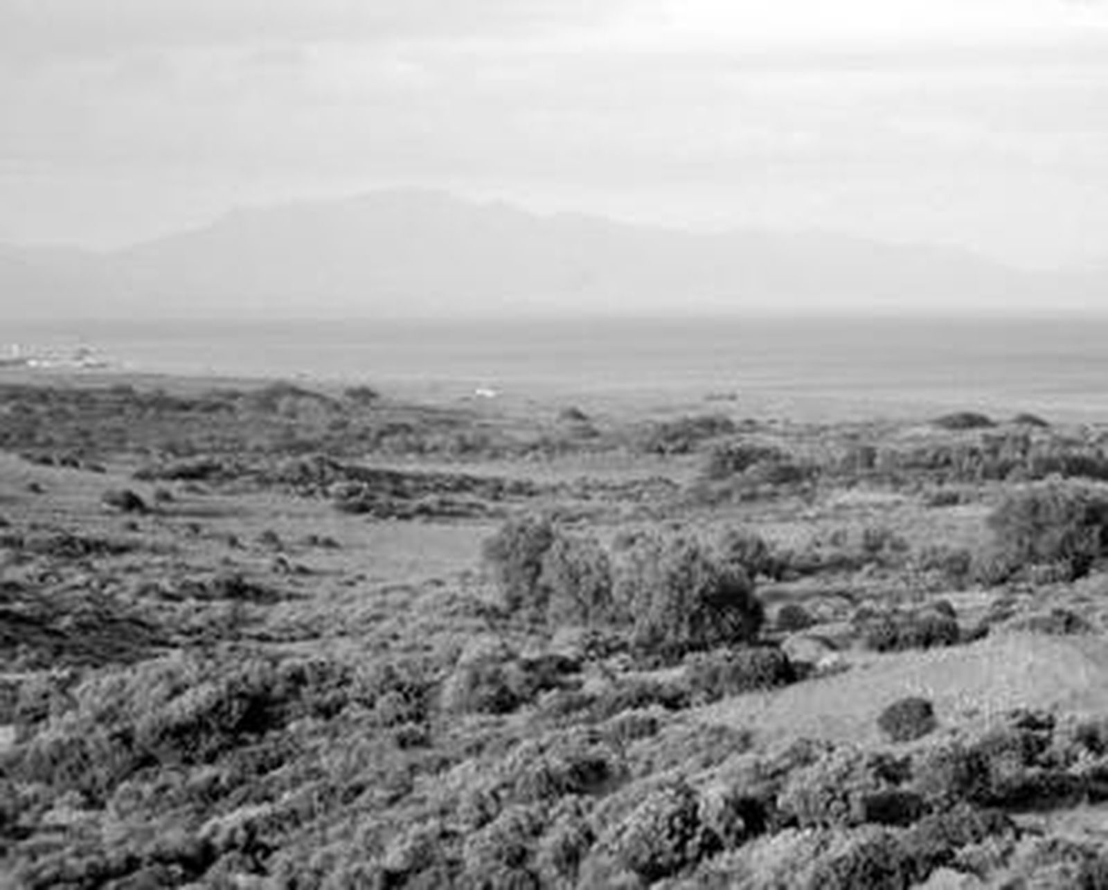Vista general de la finca Guadalquitón, en el término municipal de San Roque.
