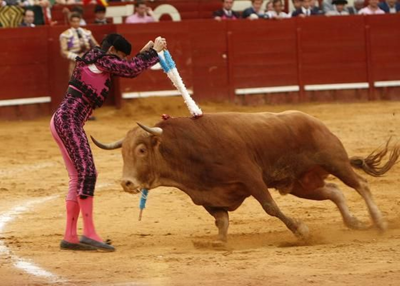 Foto: Juan Carlos Toro