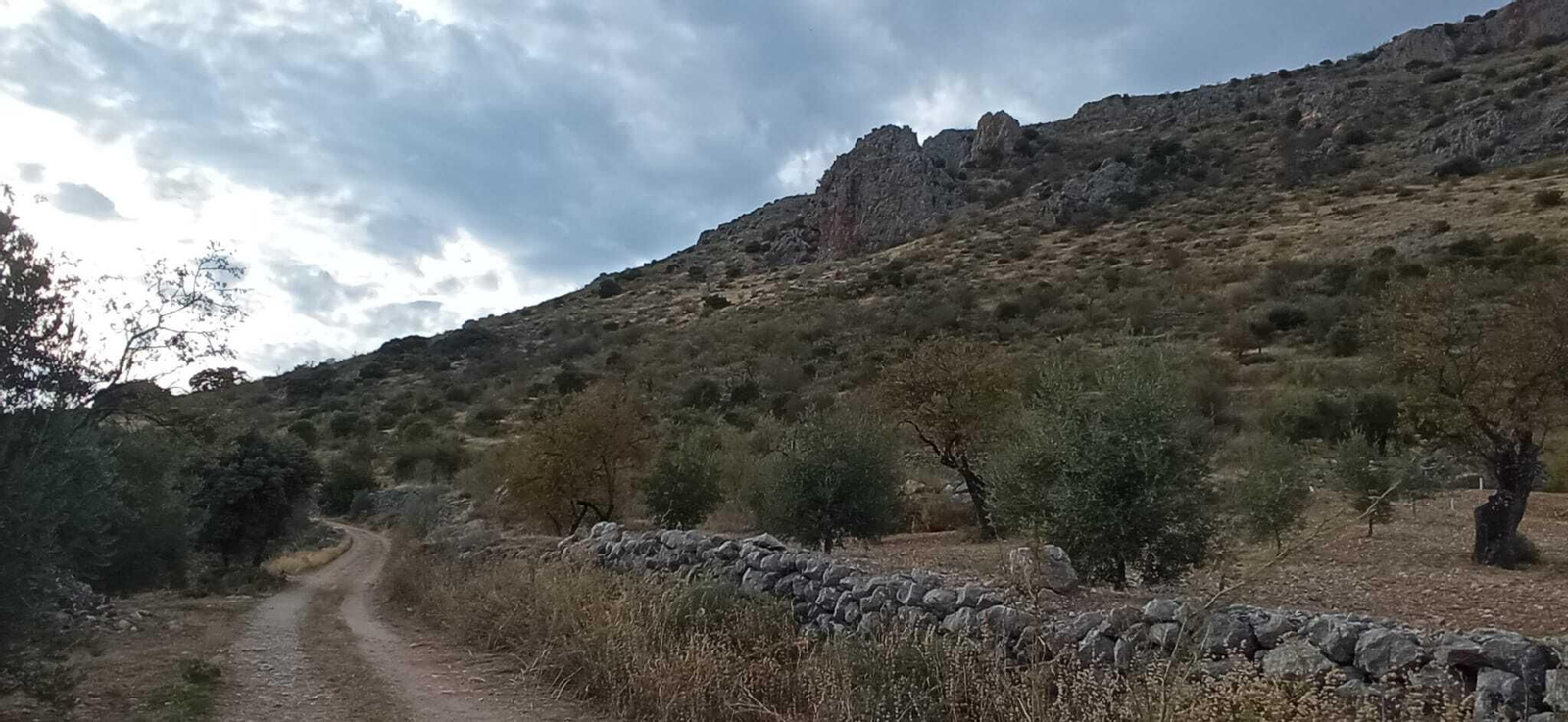 Las imágenes de la Ruta Zagrilla Baja - Esparragal - Zagrilla Baja