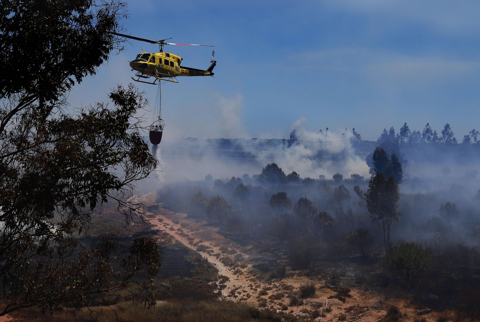 Imágenes del espectacular incendio entre en el paraje de la raya de Aljaraque y Marismas del Odiel