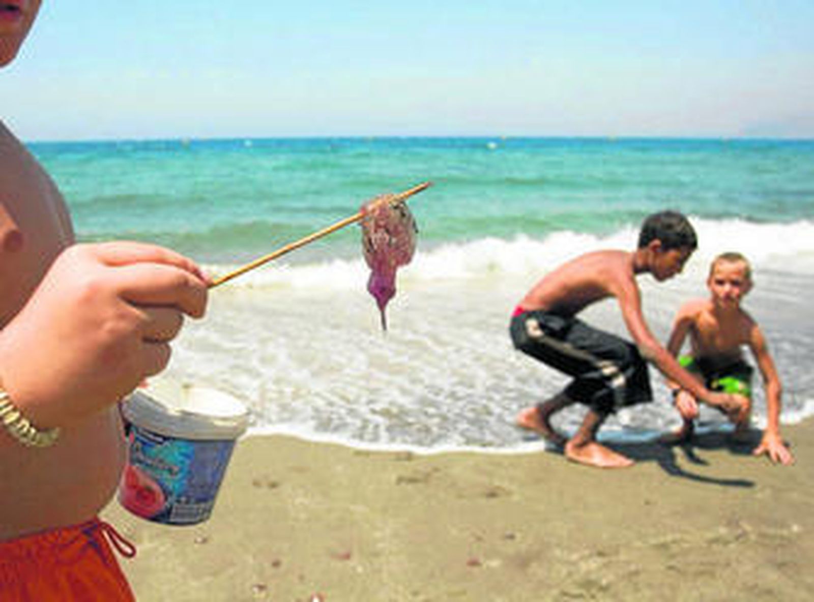 Una playa del municipio de Estepona.