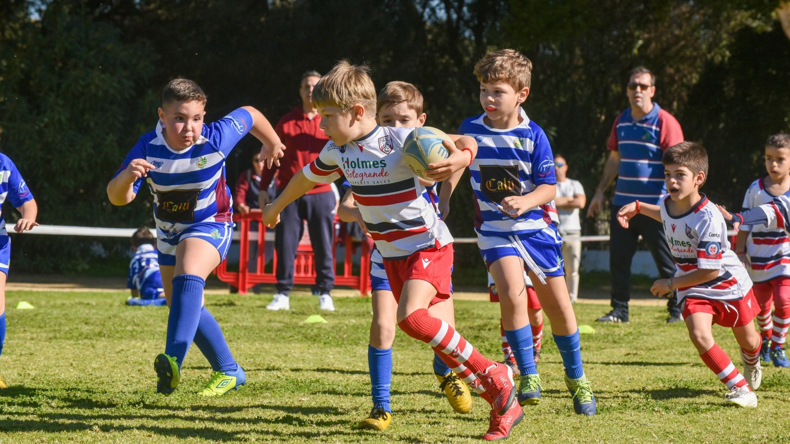 Las fotos del Festival Andaluz de rugby gradual en Pueblo Nuevo de Guadiaro