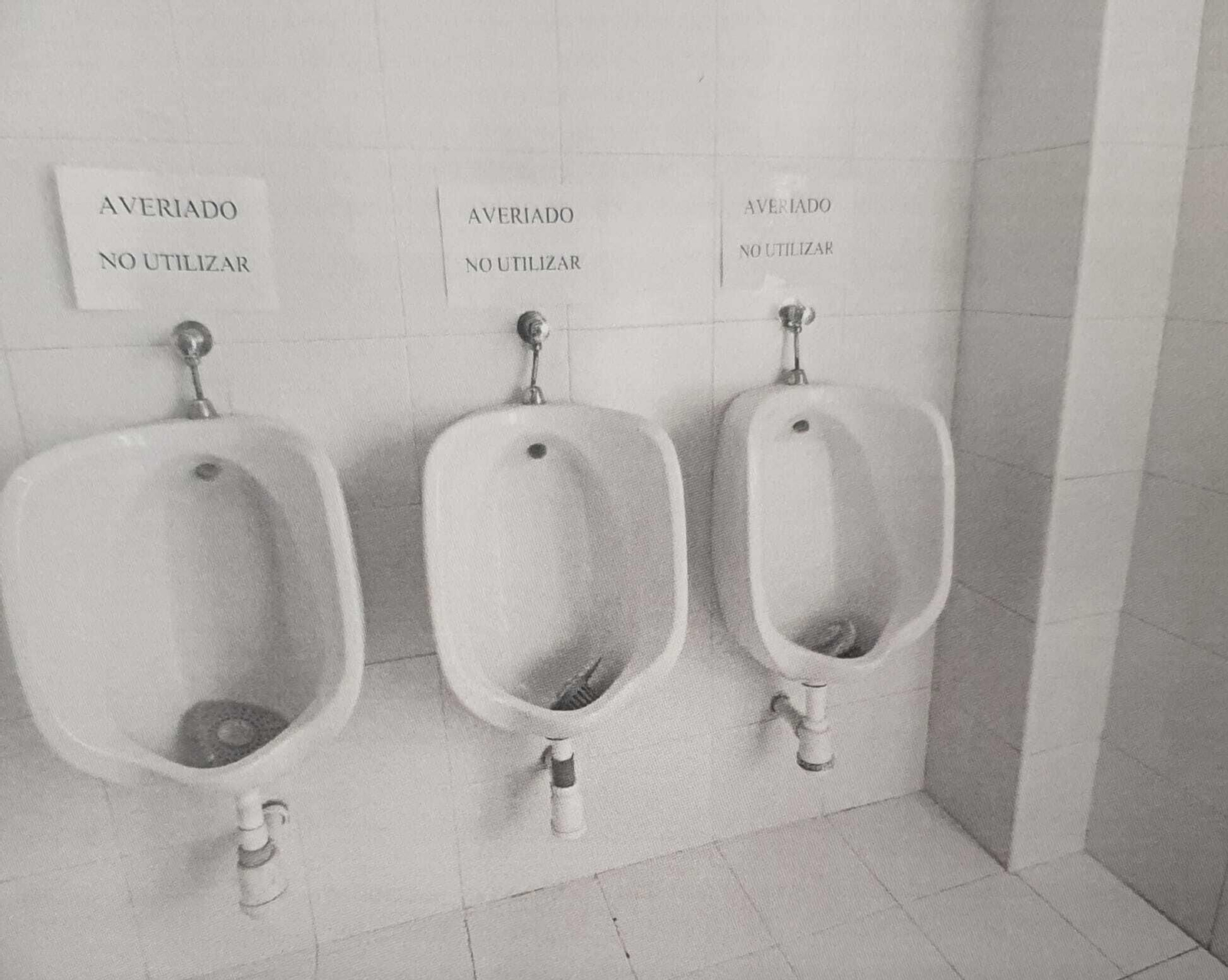 Imagen de los urinarios incluida en el informe de necesidades