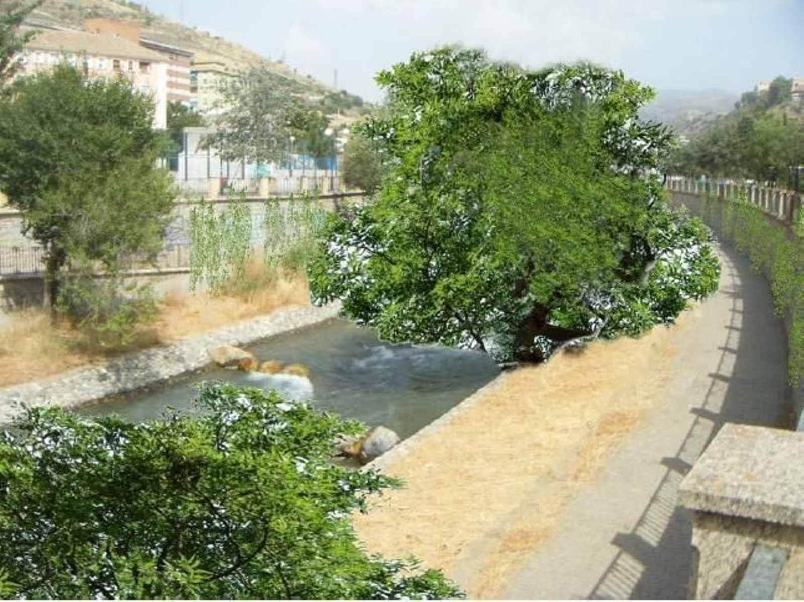 Fotos: ¿Cómo sería el Genil en su estado natural?