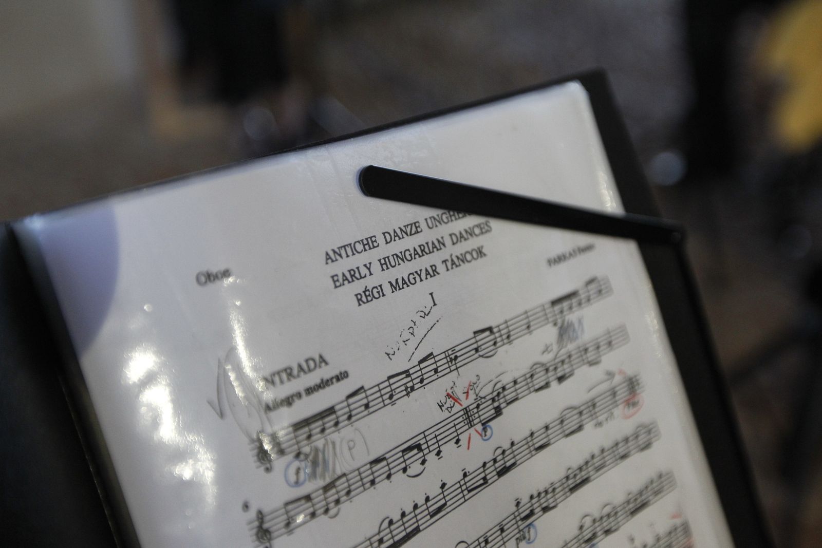 Historia teatralizada del castillo de Guardias Viejas. El Ejido