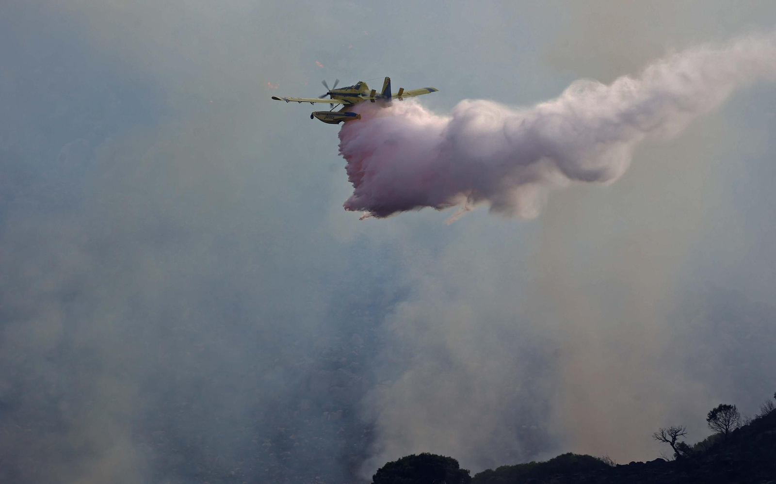 Fotos del incendio forestal de Torre de la Peña en Tarifa