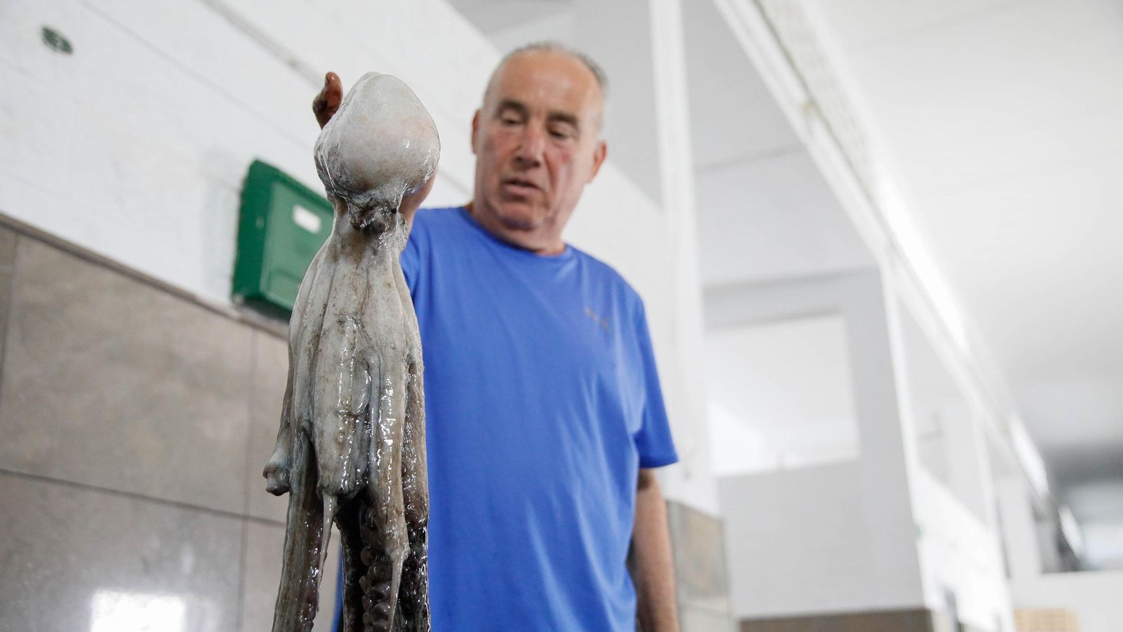Juan Luis Madrid, comprador, muestra un ejemplar.