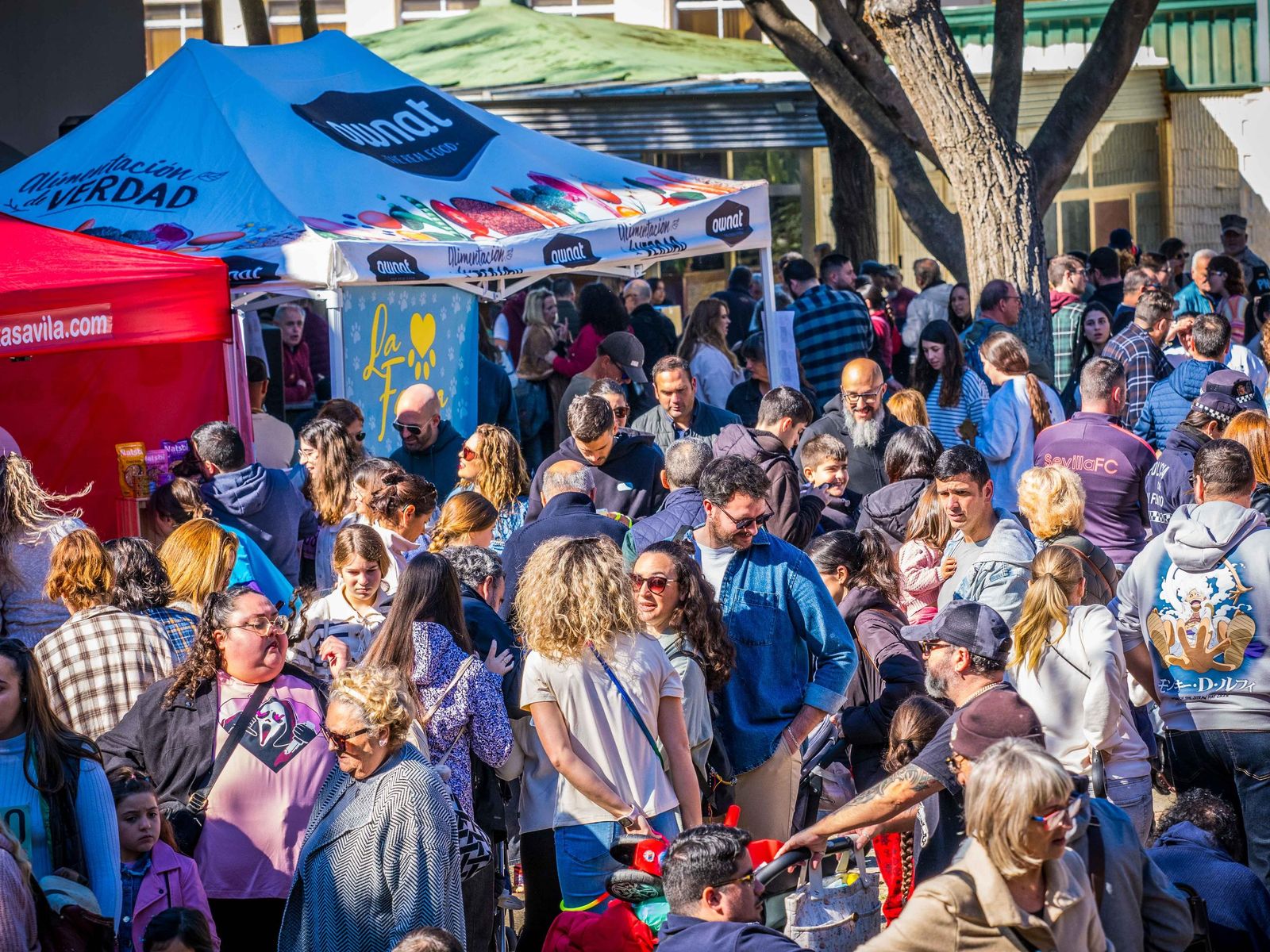 Las imágenes de San Antón 2025 en San Fernando
