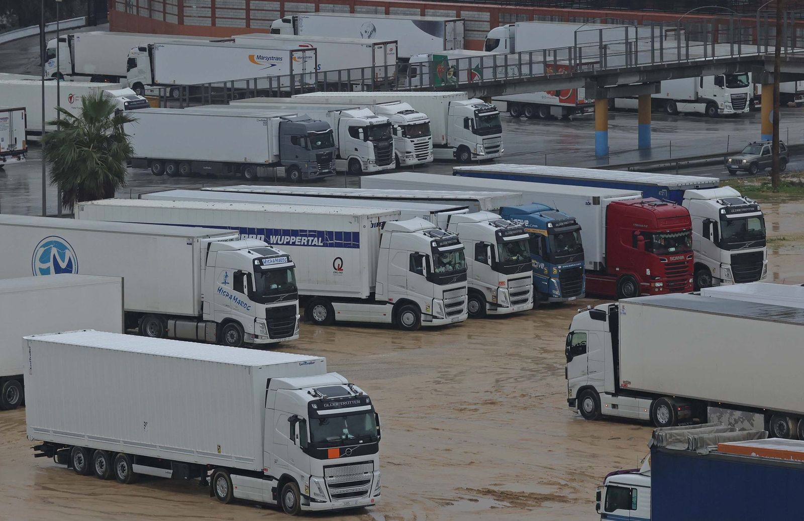 Camiones en el recinto ferial de Algeciras, esta semana.