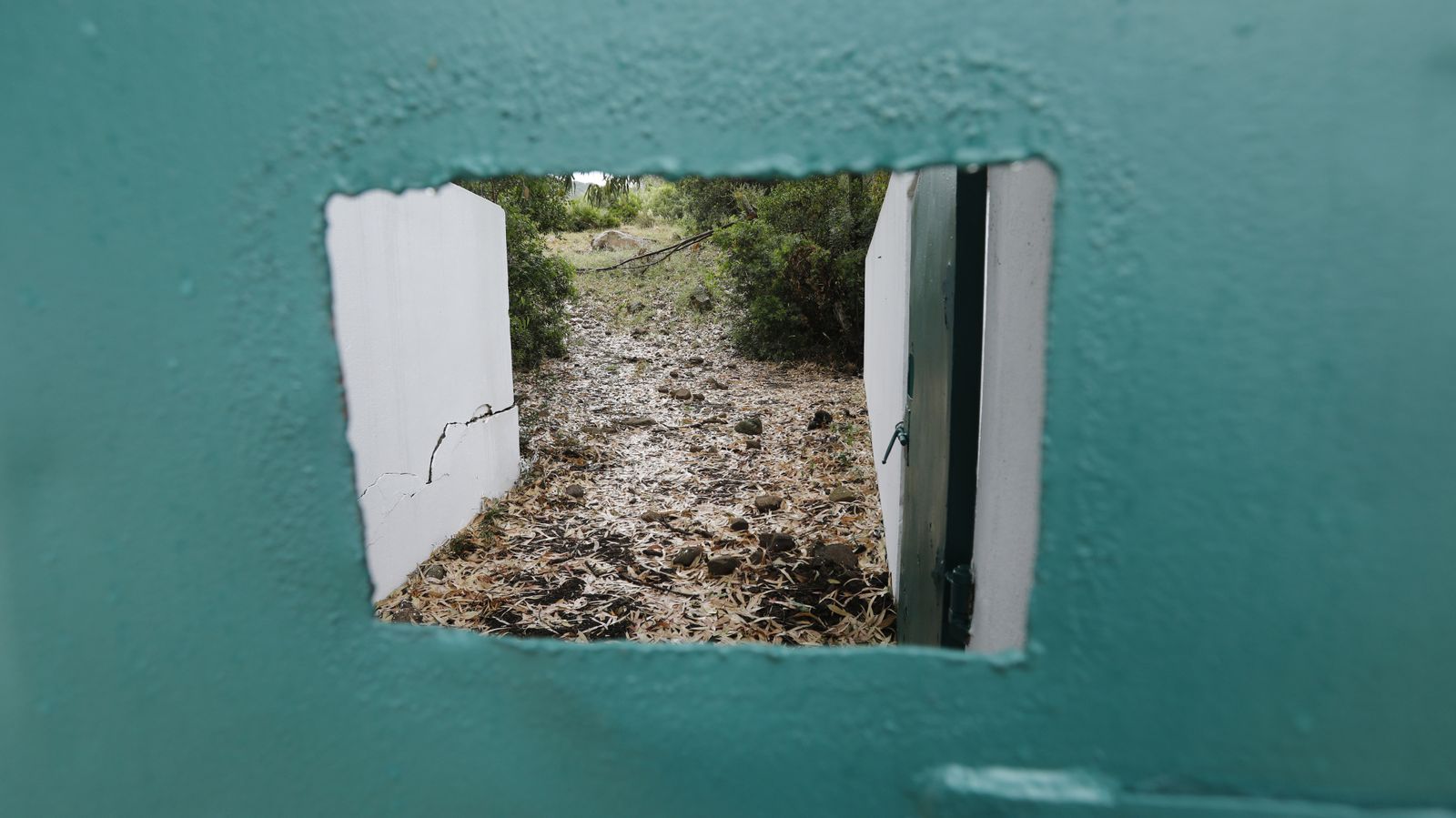 Las fotos del centro de carga de ganado vacuno en Los Barrios