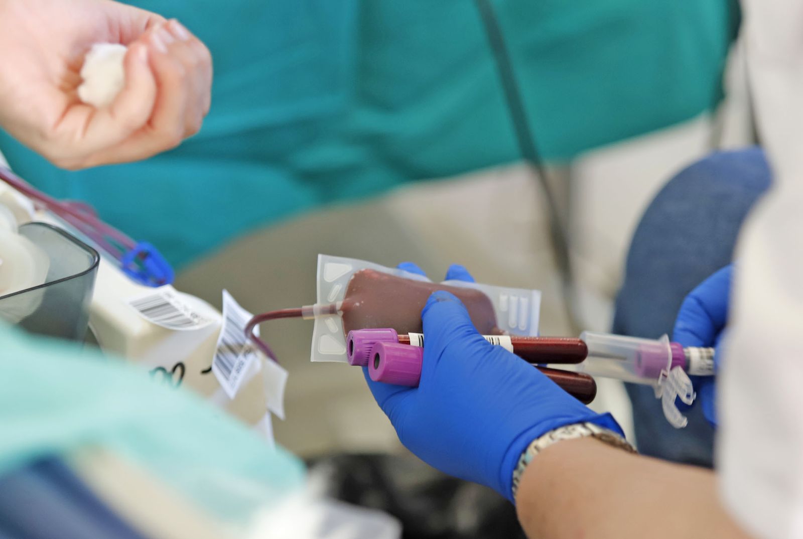 Macrocolecta de sangre en la Casa Colón