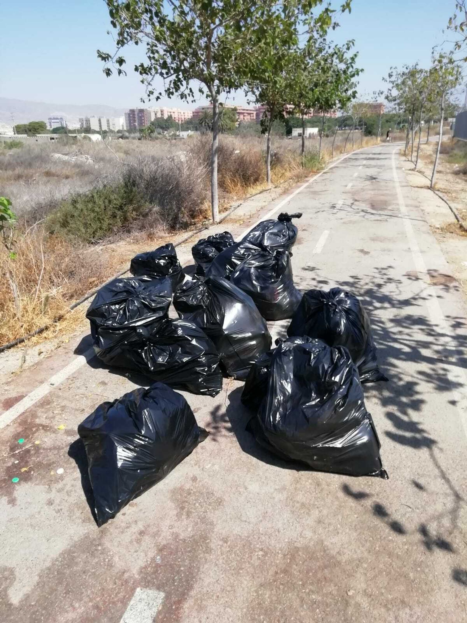 Los trabajadores de Almería Sostenible recogen cada mañana varias bolsas de desechos a lo largo del tramo de vía ciclista.