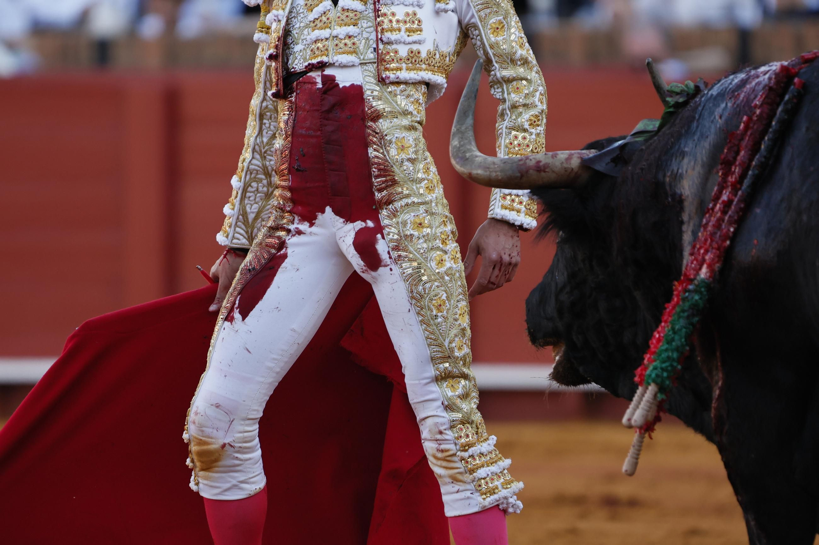 Las imágenes del festejo
