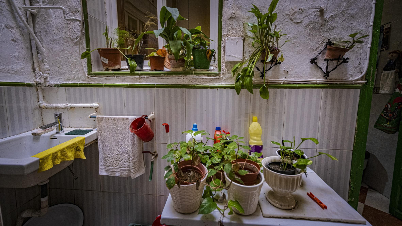 La casa de San Fernando que proclama que allí nació el Beato Marcelo Spínola