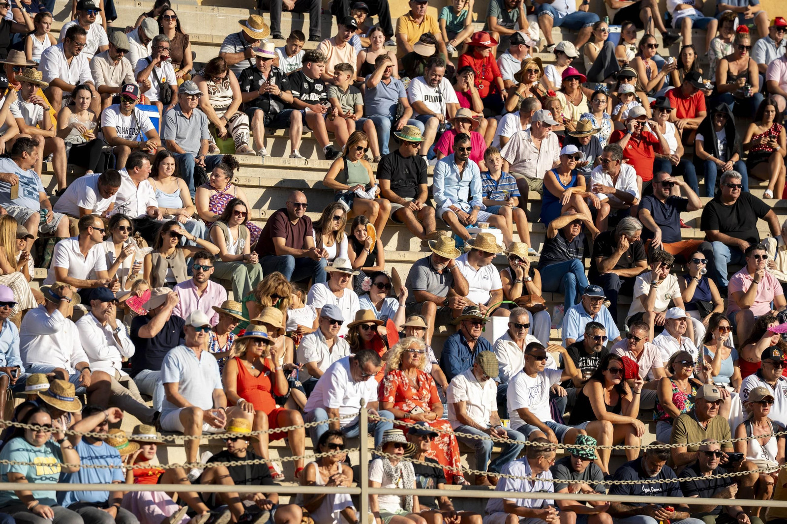 Las imágenes de los toros en Vera