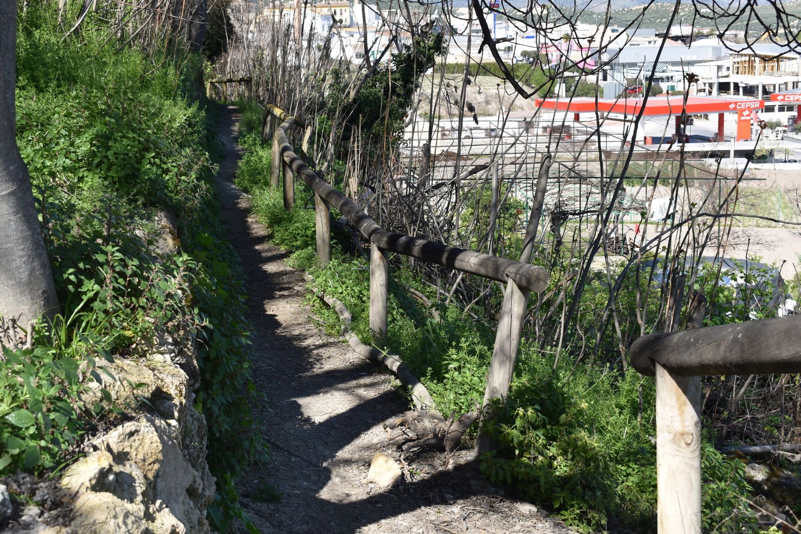 Corredor verde sobre el que se actuará.