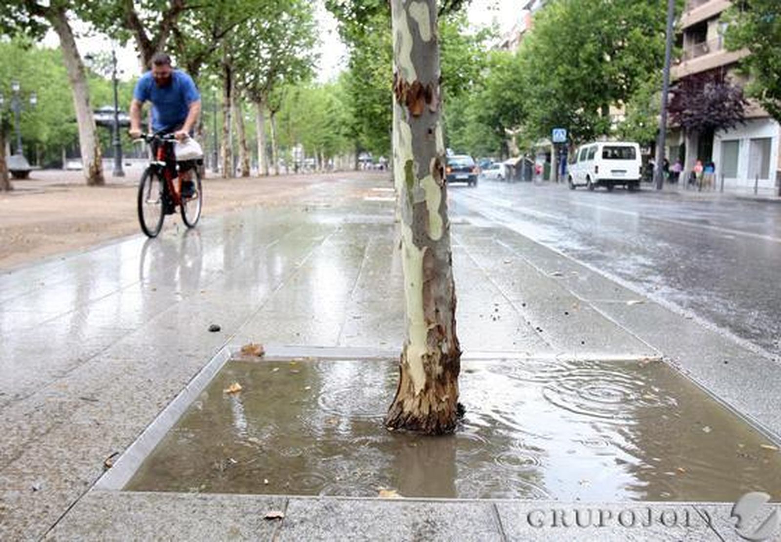 Foto: M.De La Cruz/ Granada Hoy