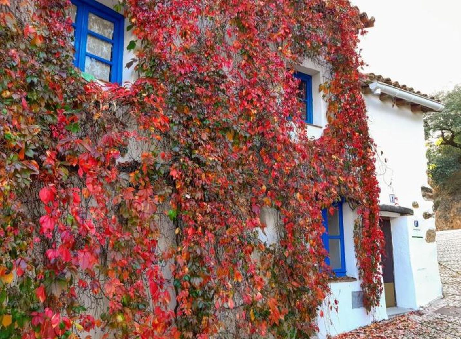 Casa en Aldea el Collado Alajar.