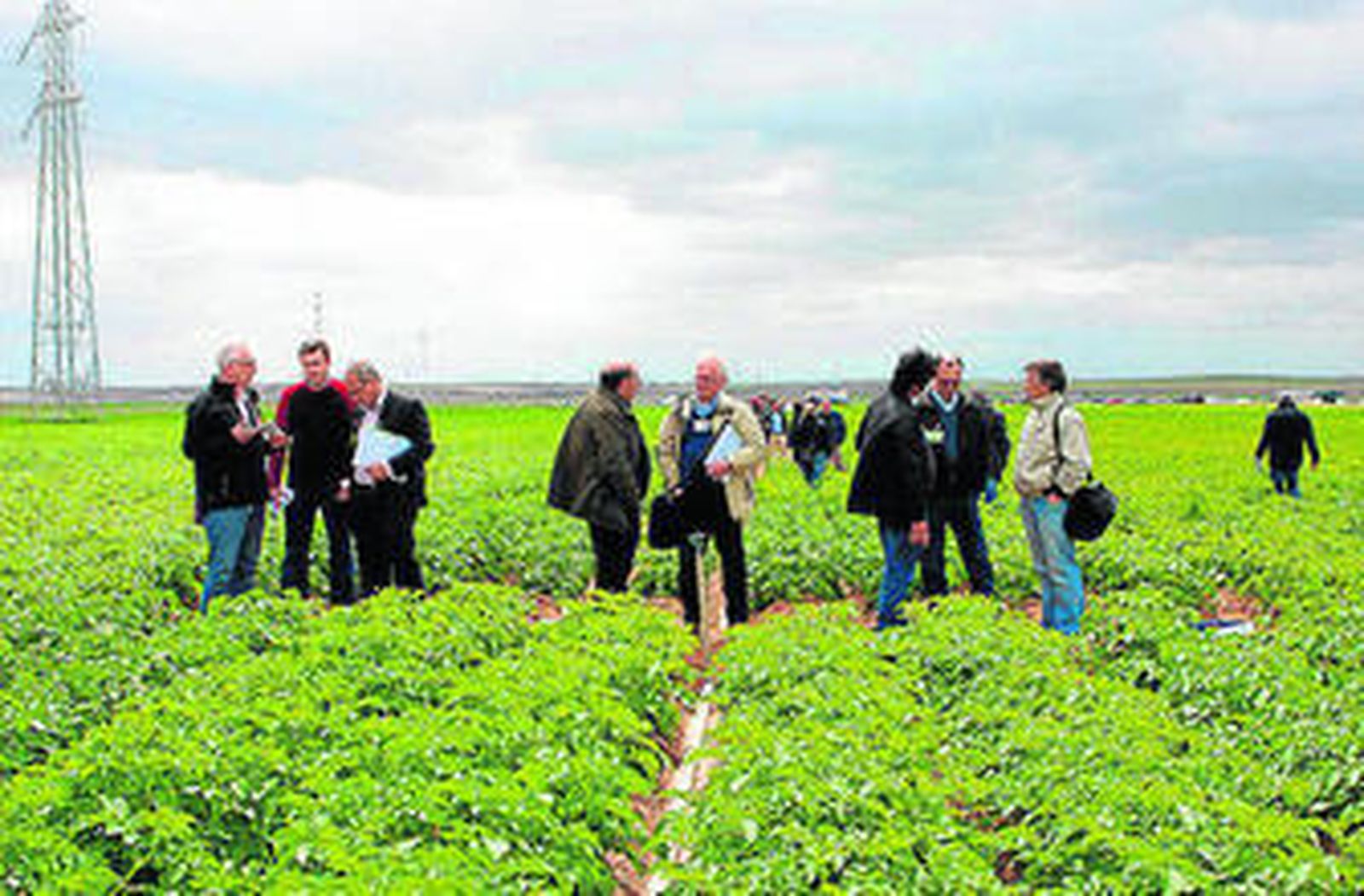 Miembros de las 16 casas de semilla visitan los campos de investigación.