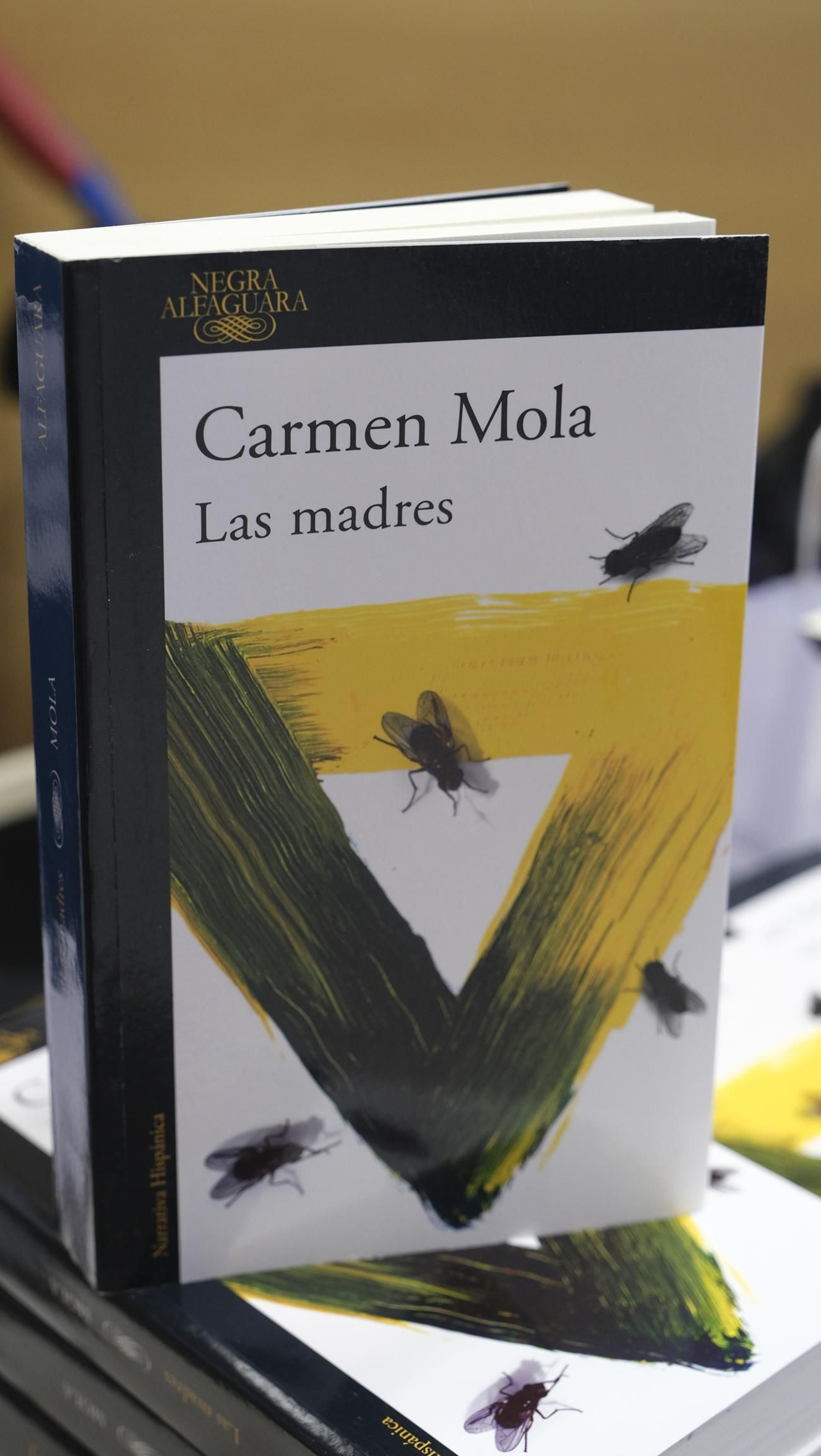 Imágenes de Diario de los Libros con Carmen Mola