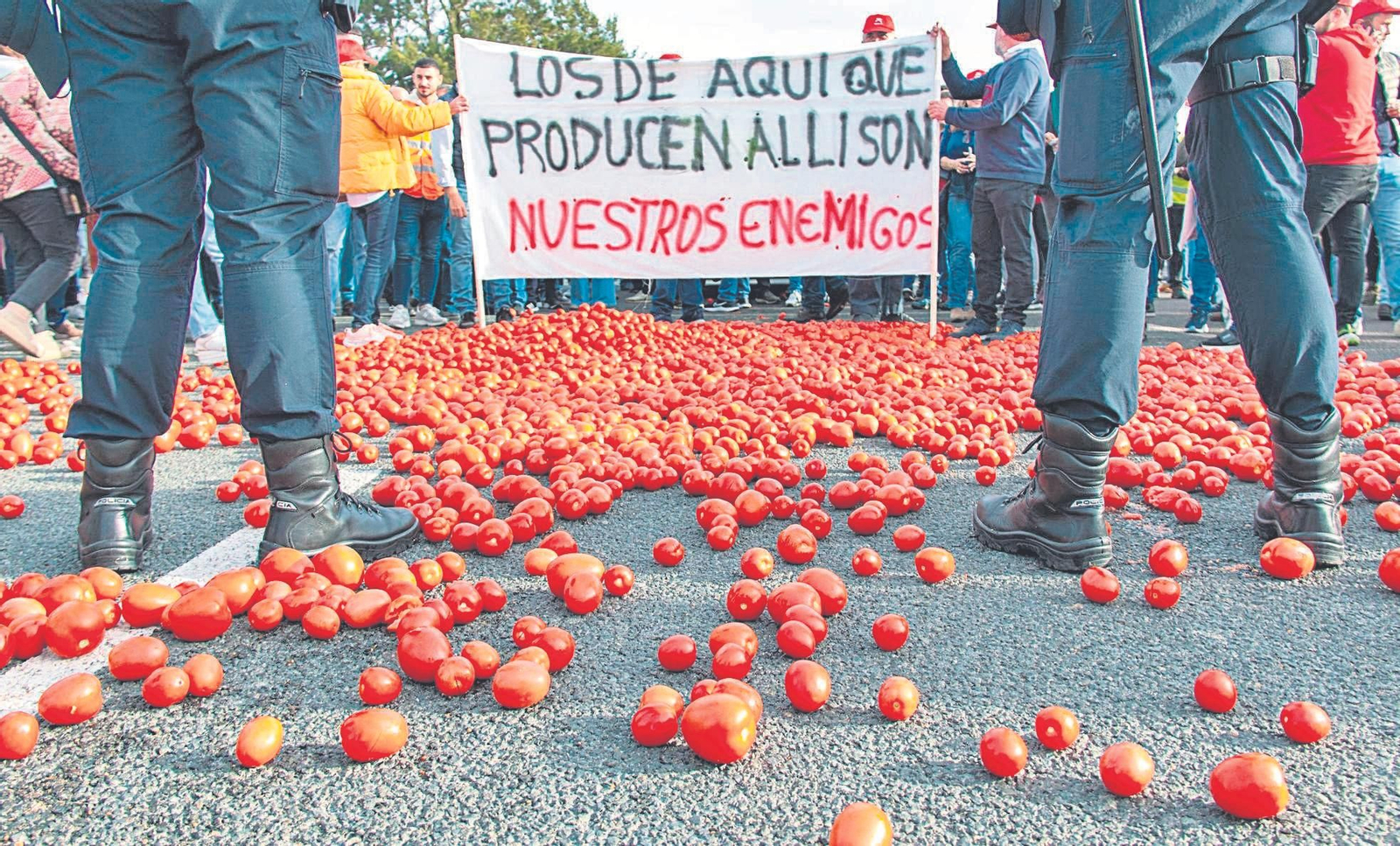 Tomates almerienses arrojados al suelo, en la manifestación del Puerto de Motril.