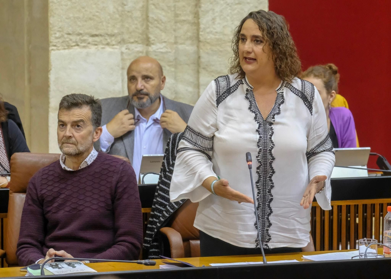 Angela Aguilera en un Pleno.