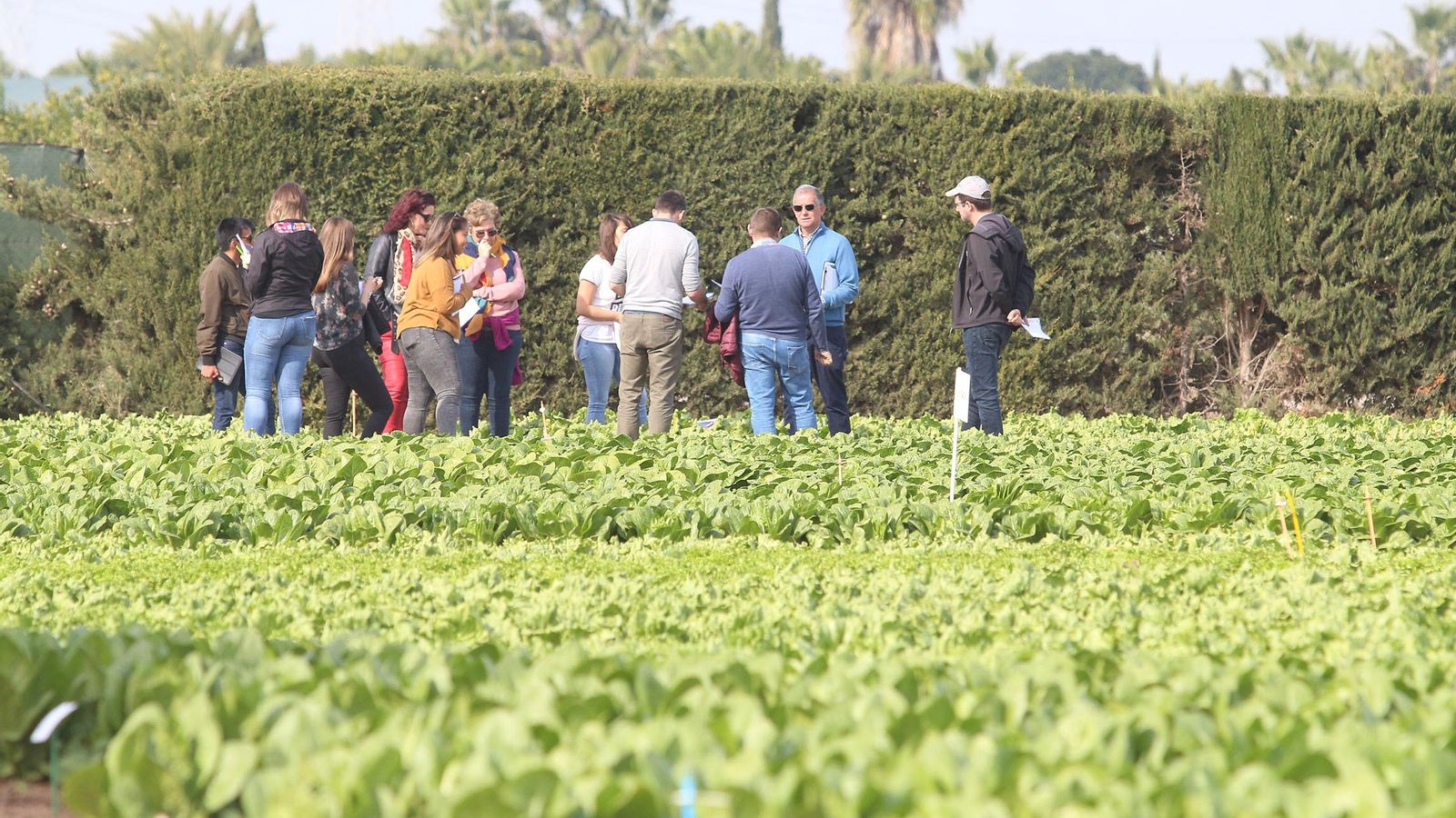 Fincas del Centro de Ensayos y Demostraciones, CED “La Palma”, en Cartagena.