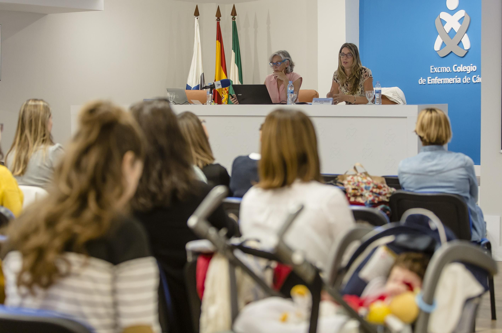 Un instante de la jornada celebrada este martes en el Colegio de Enfermería de Cádiz.