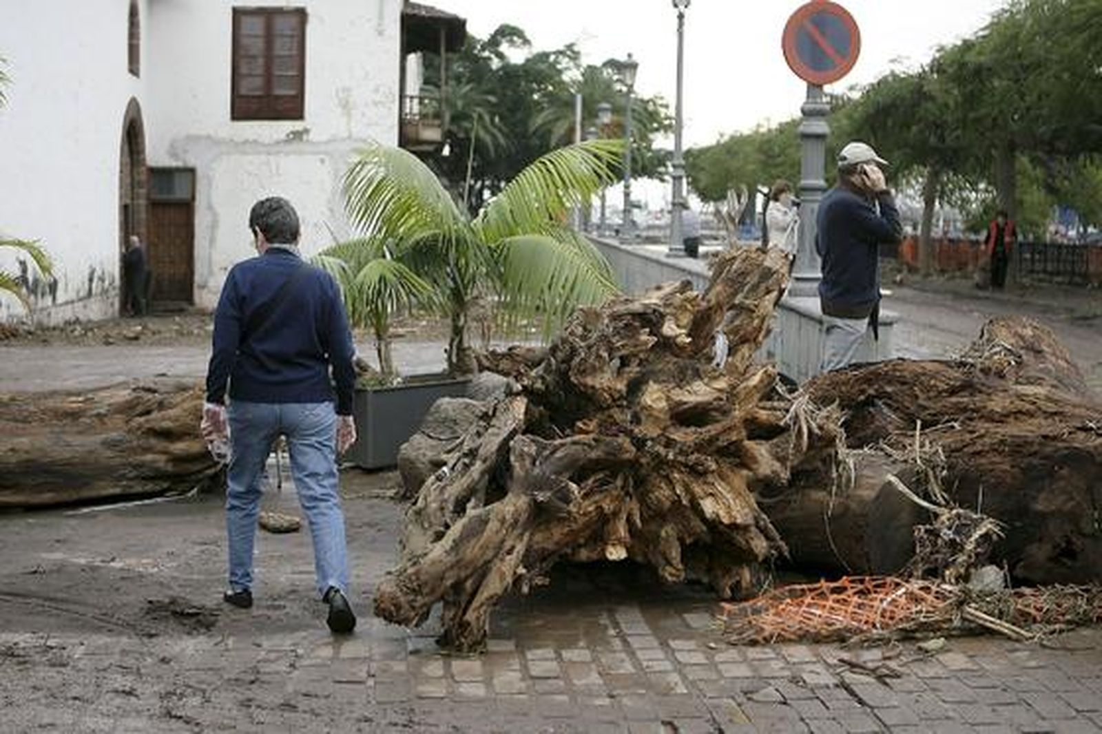 Vertidos del barranco de Santos, desbordado por las intensas lluvias caídas en Tenerife.

Foto: Cristóbal García (Efe)