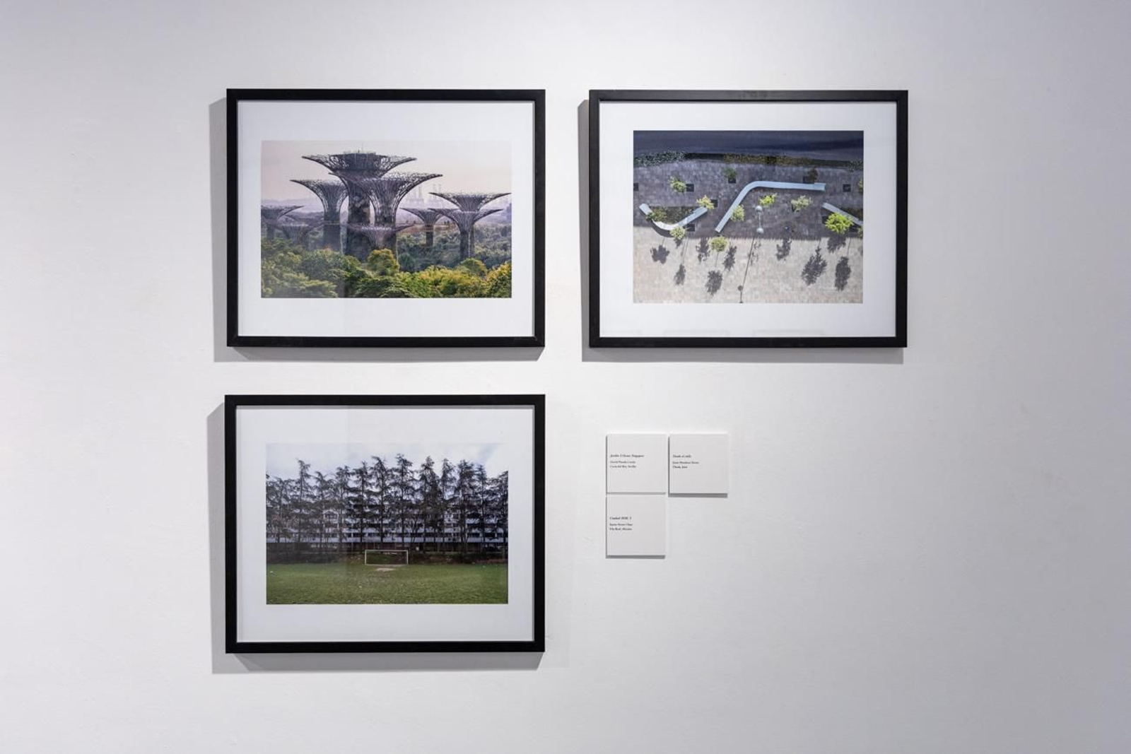 Fotografía para un mundo mejor en la Escuela José Nogué