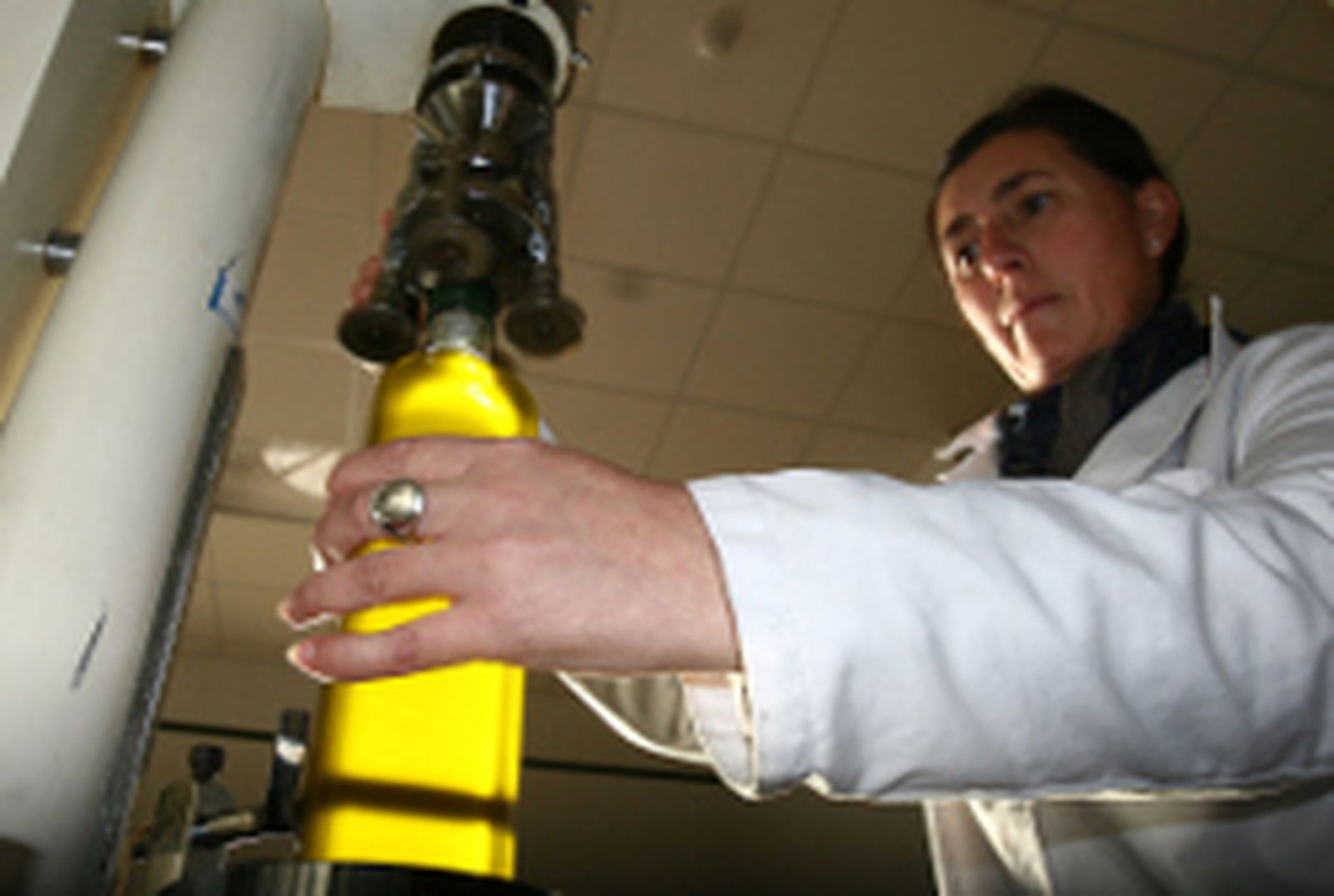 Andalucía ya es la despensa mundial del aceite de oliva