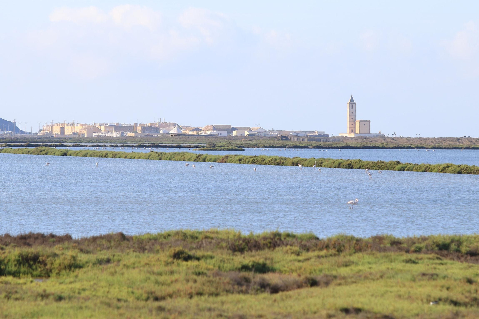 Las imágenes de las Salinas de Cabo de Gata recuperadas y con flamencos
