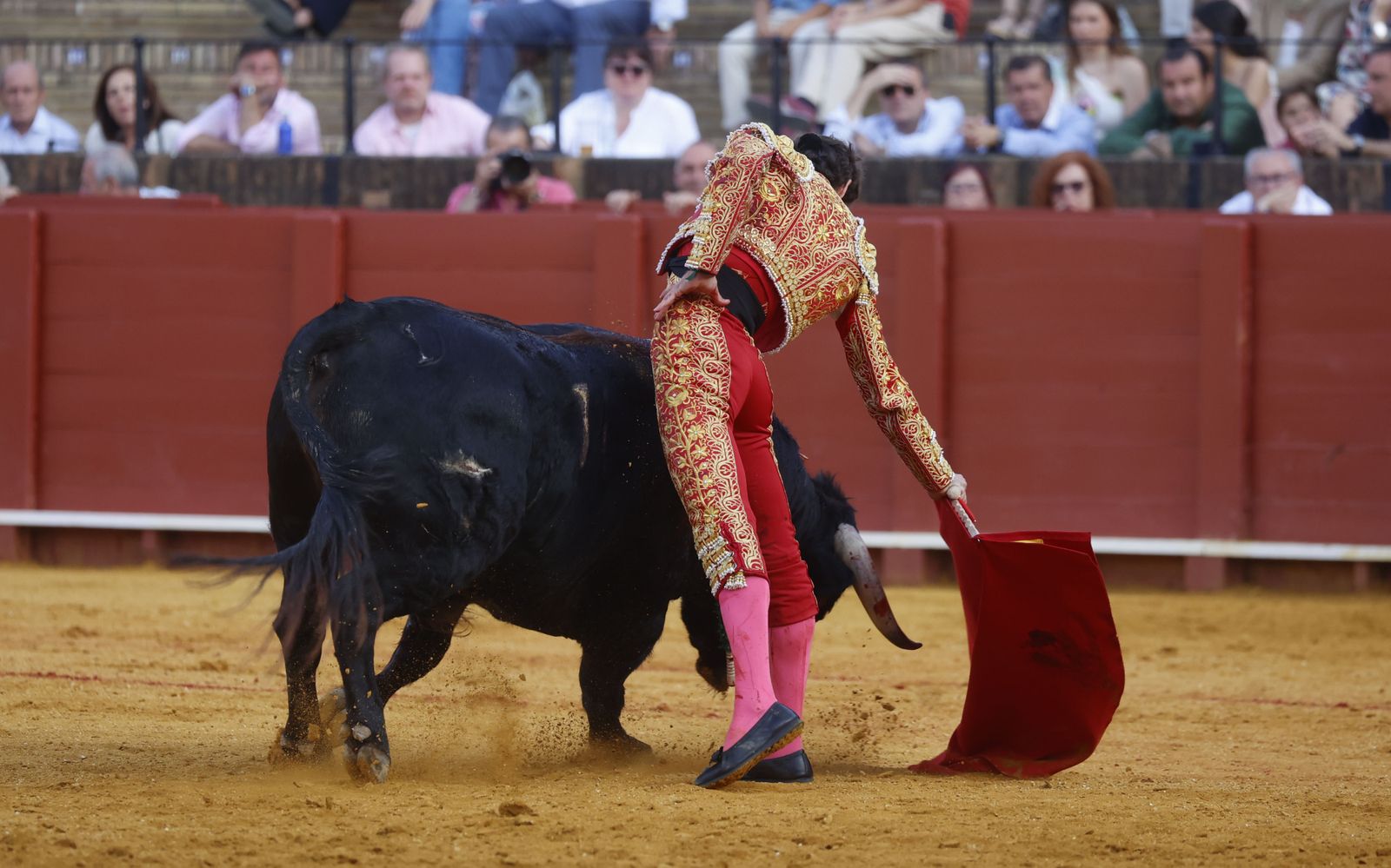 Las imágenes de la novillada en la Maestranza