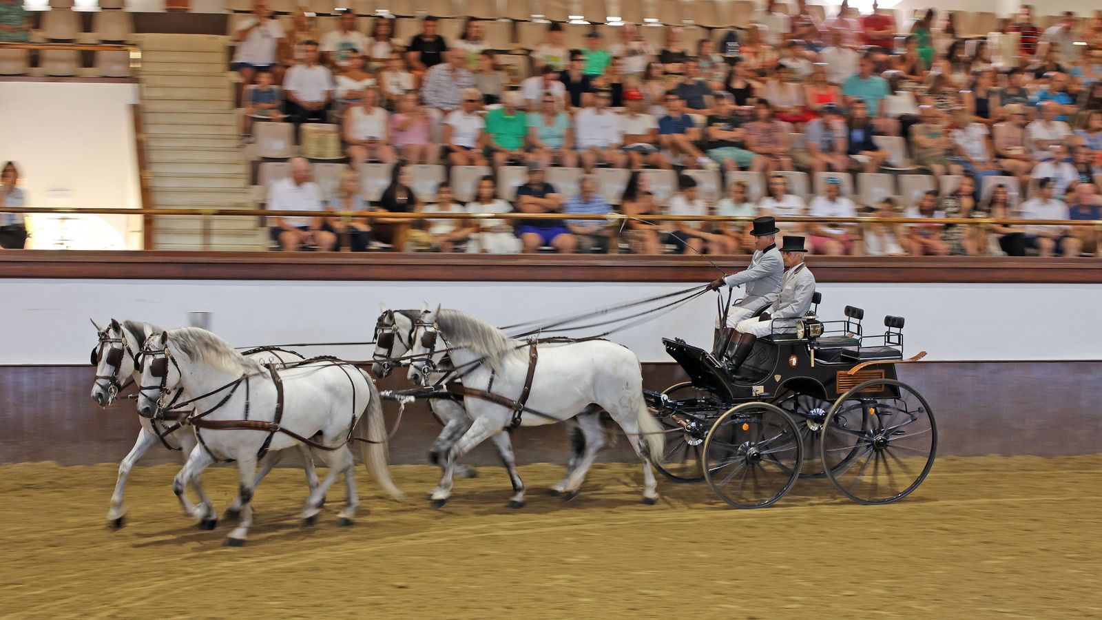 Espectáculo de la Real Escuela Andaluza de Arte Ecuestre dedicada al 40 aniversario de Diario de Jerez