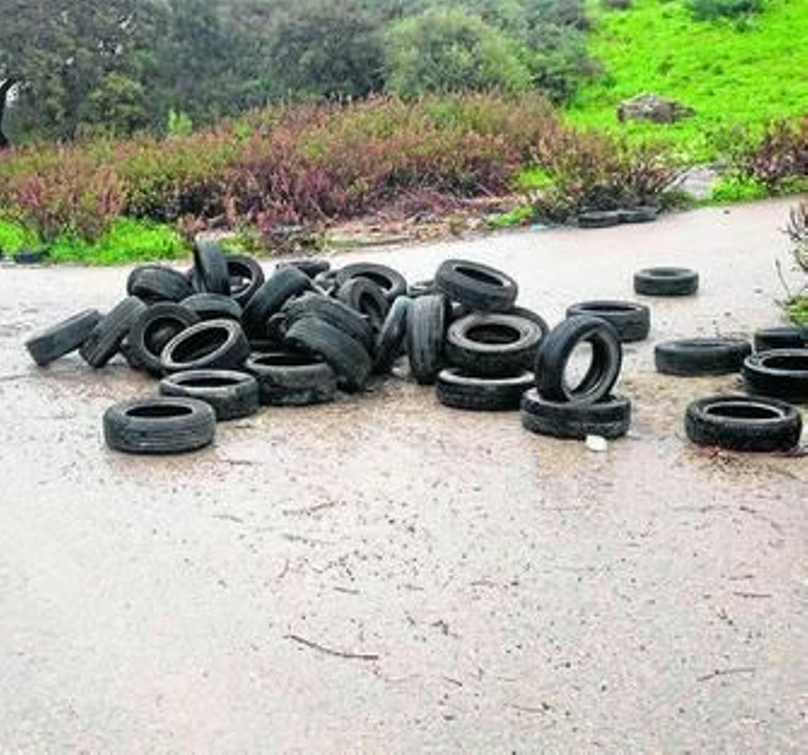 Imagen del parte del vertedero ilegal denunciado por el PSOE.