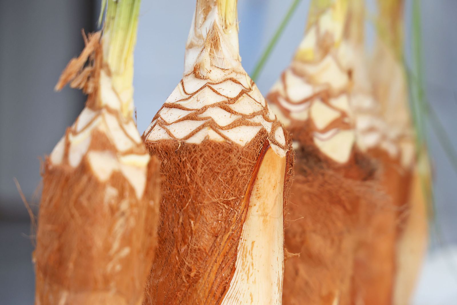 Las imágenes más destacadas del sábado 25 de enero en Huelva