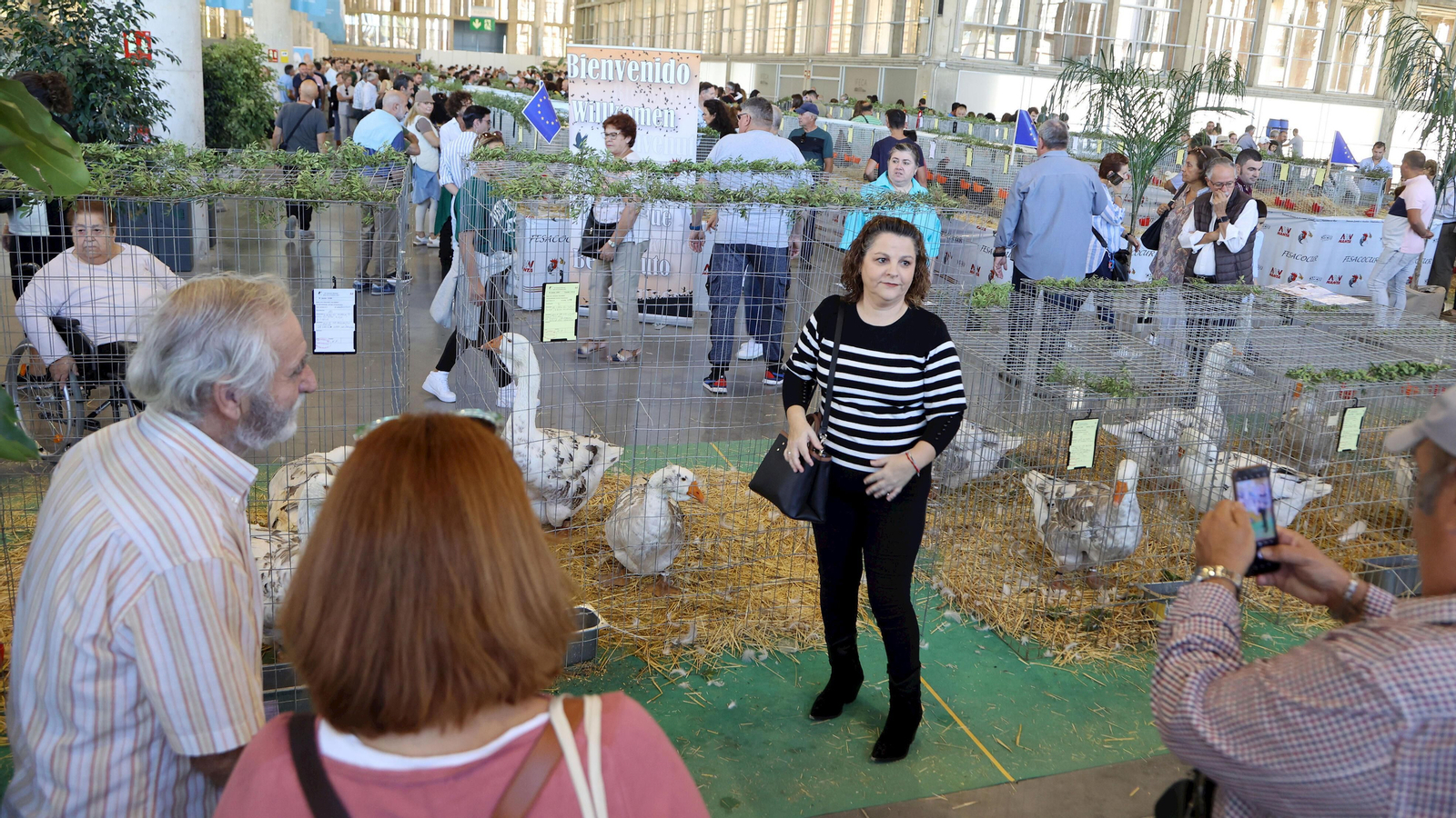 Gran afluencia de público en la clausura de Fegasur