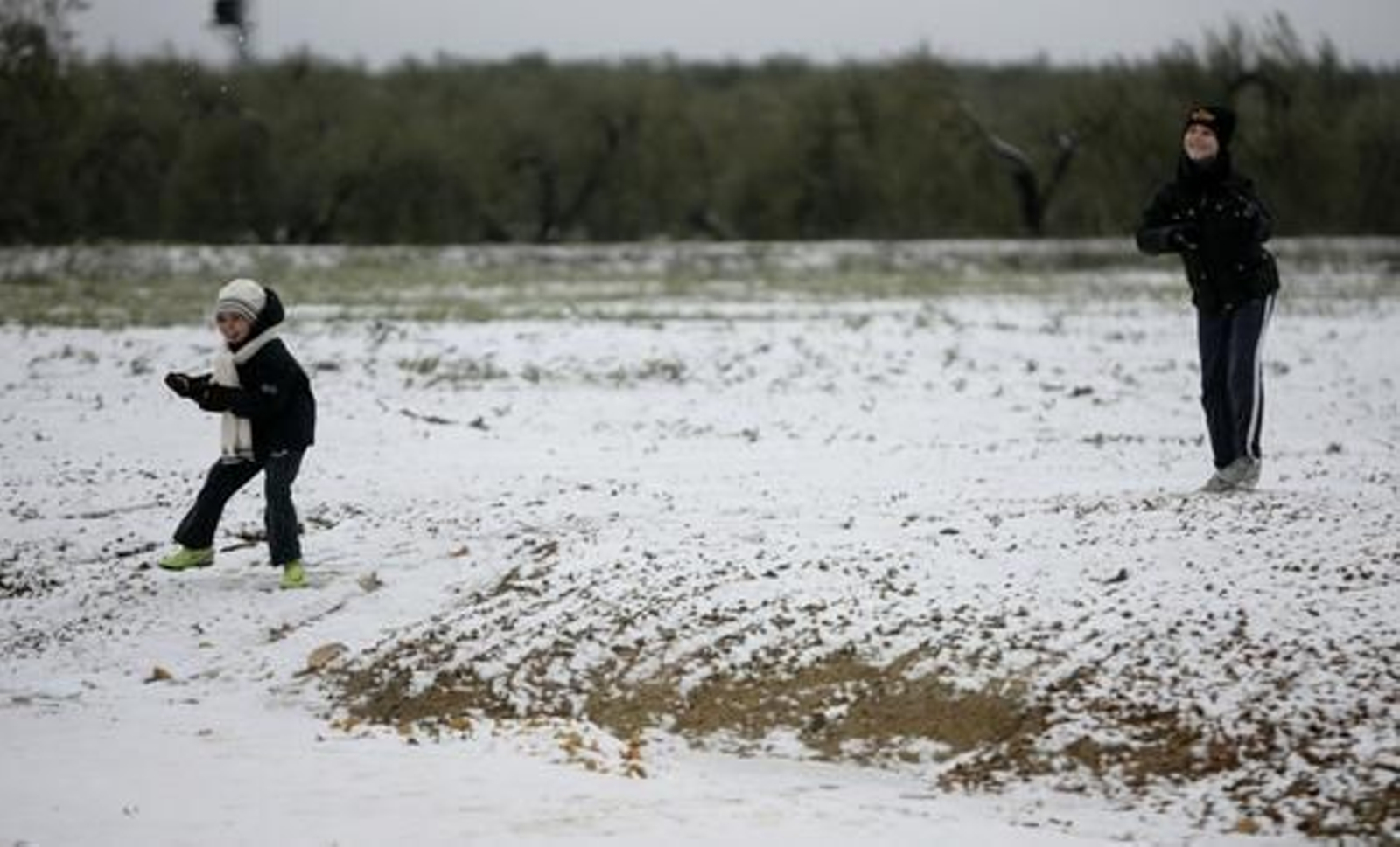 Los pequeños disfrutaron con la nieve en Gerena.

Foto: Juan Carlos Muñoz, Manuel Gómez, Antonio Pizarro
