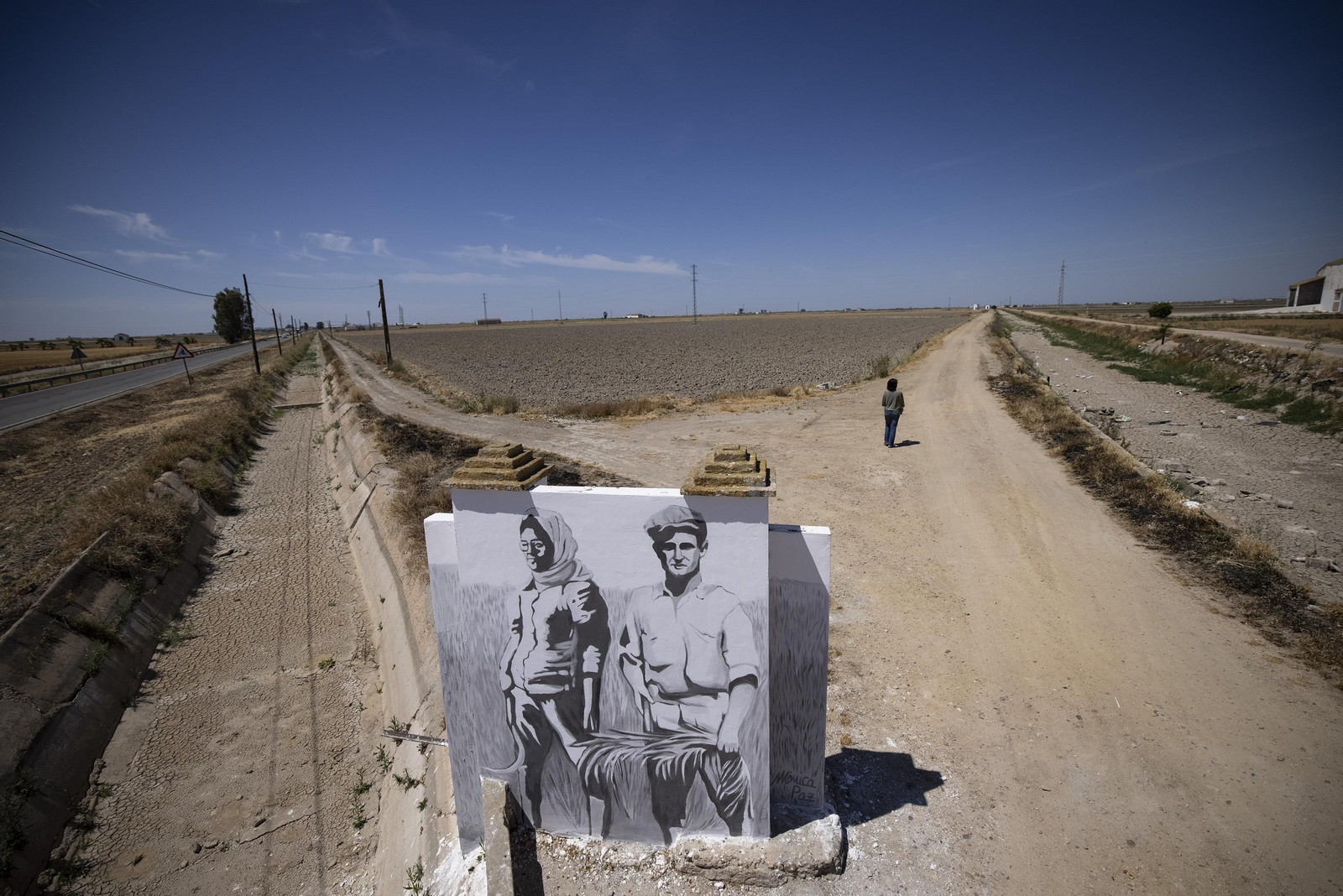 Las fotos de la sequía que sufren los cultivos de arroz en Isla Mayor