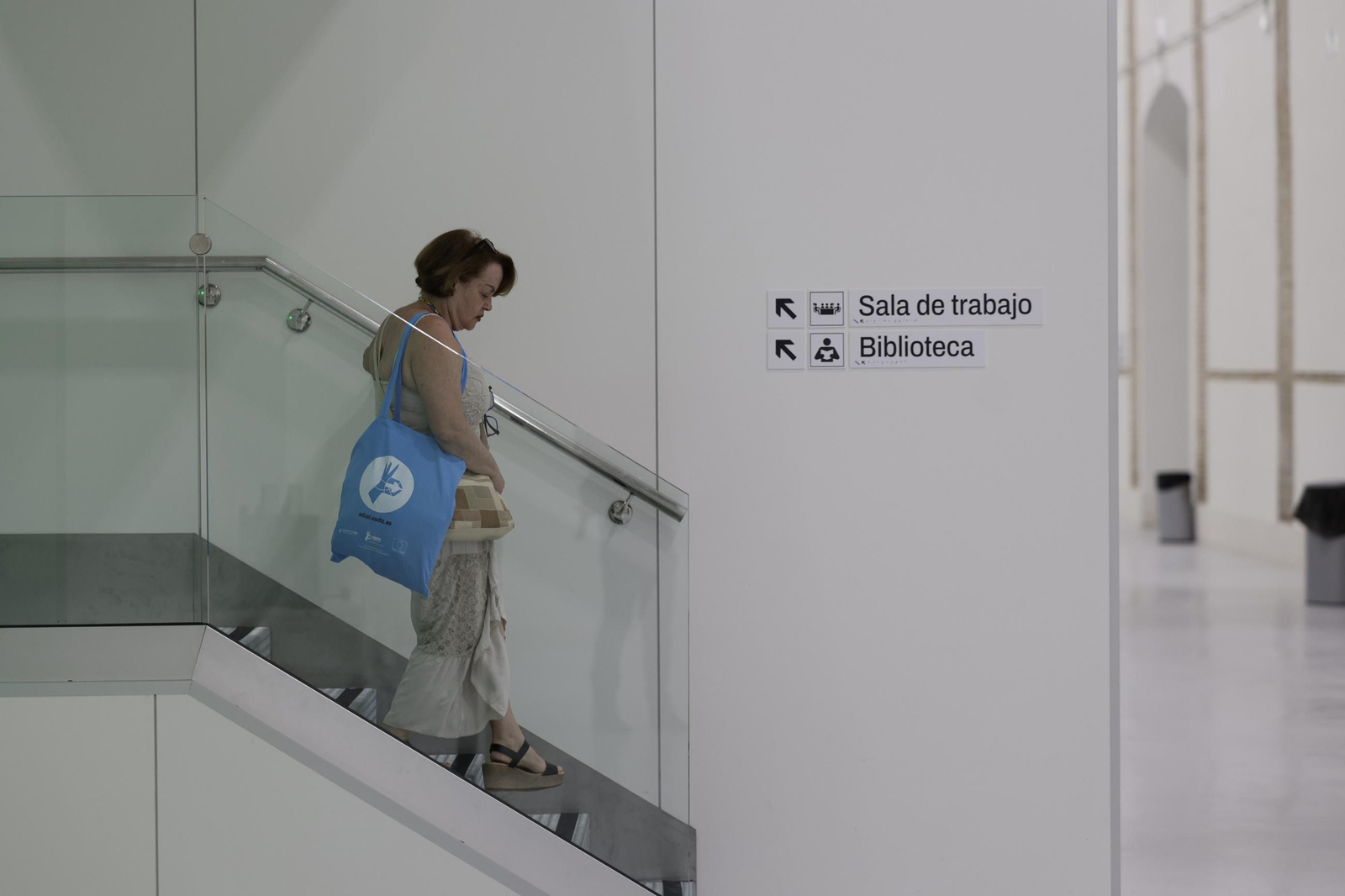 Las imágenes de la 'nueva vida' de los antiguos Depósitos de Tabaco de Cádiz