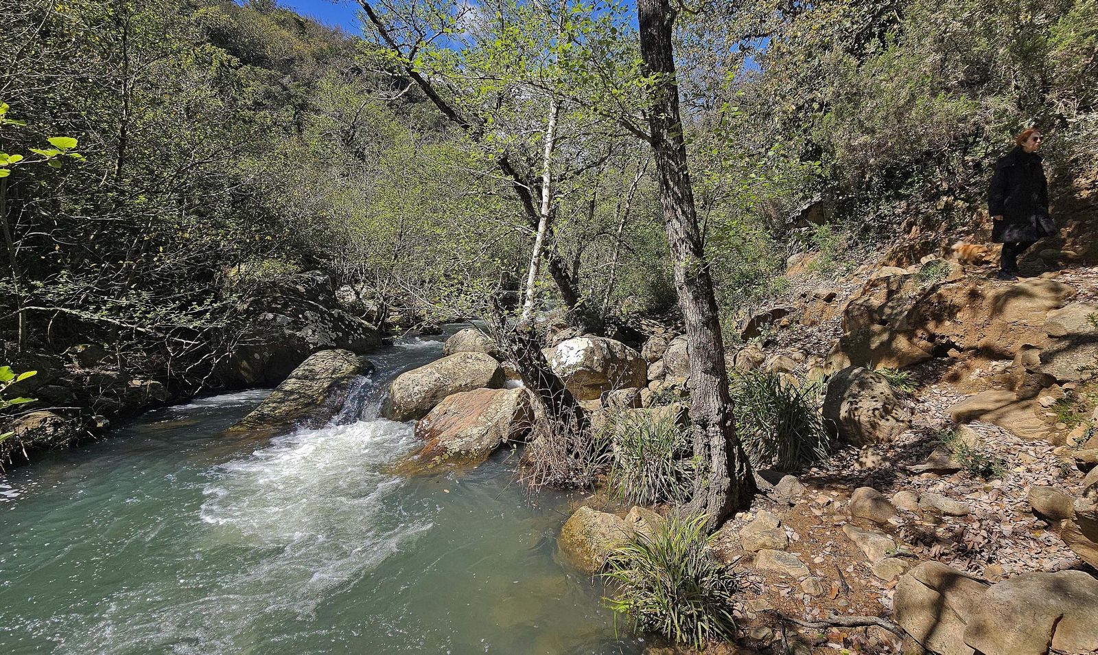 Fotos del río de la Miel tras las borrascas de marzo