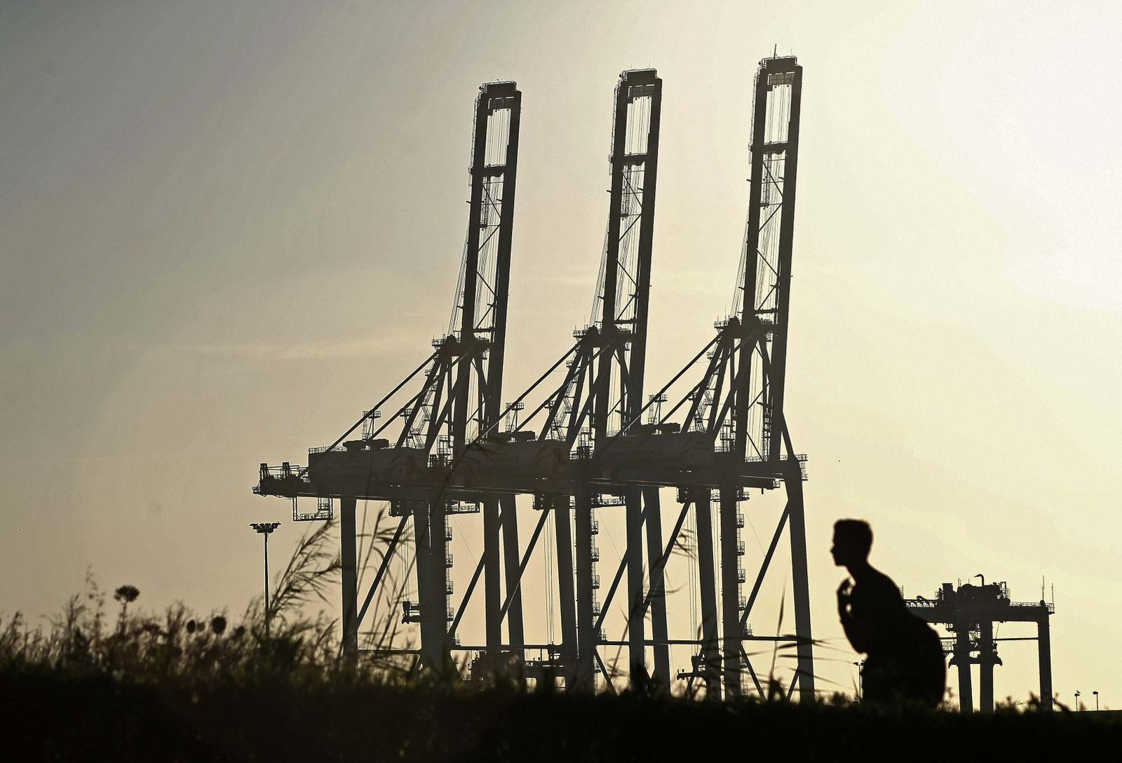 Tres de las grúas de APM Terminals en Algeciras con la pluma alzada por la inactividad de la jornada.