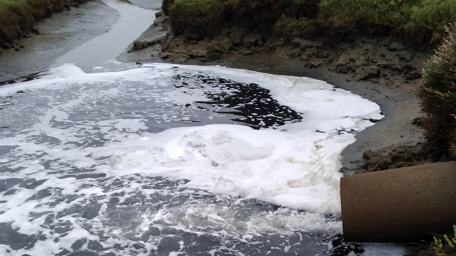 Savia y Cuidemos Isla Cristina denuncian el vertido de "cientos de metros cúbicos de aguas fecales"