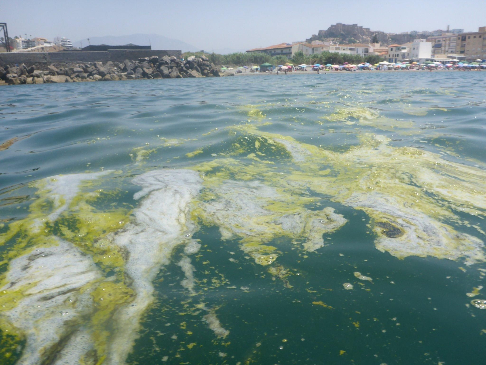 La Costa recibe un verano más la 'visita' de unas manchas que recorren las playas del litoral