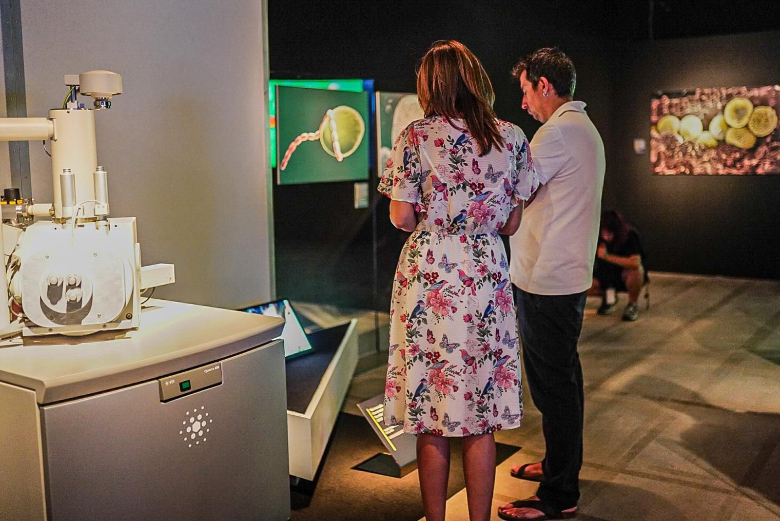 Esta es la nueva exposición del Parque de las Ciencias, las imágenes